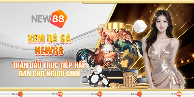 Xem Đá Gà New88 - Trận Đấu Trực Tiếp Hấp Dẫn Cho Người Chơi